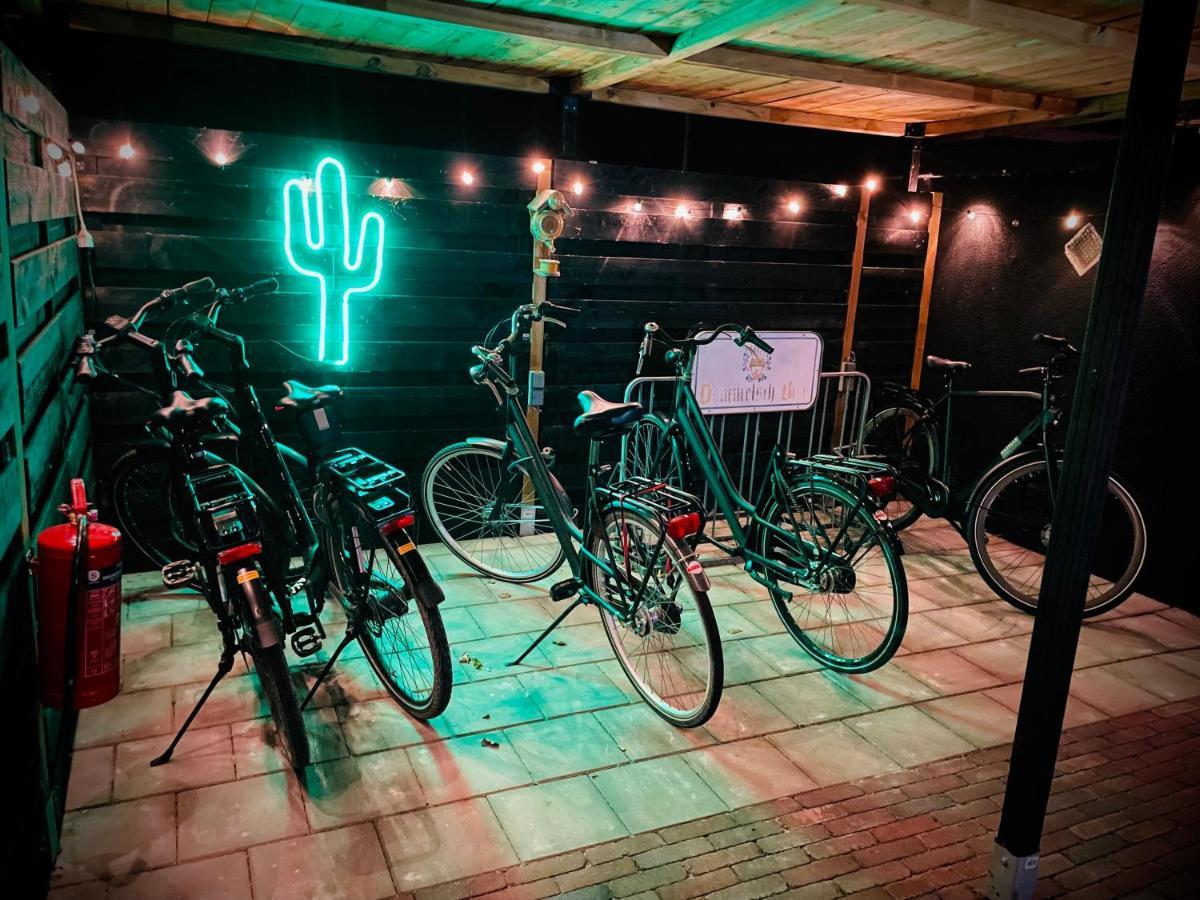 Flamingo Studio'S Zeeland Schoondijke Exteriör bild